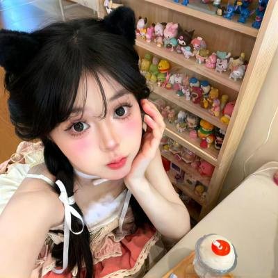 哈兰·科本的庇护所